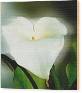 Lily Faux Watercolor Wood Print