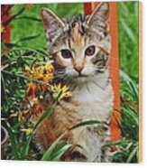 Lily Garden Cat Wood Print