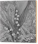 Lily Of The Valley After The Rain Wood Print