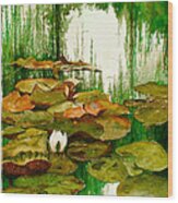 Reflections Among The Lily Pads Wood Print