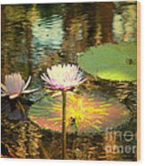 Lily Pond Vintage Wood Print