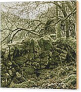 Limestone Wall Monyash Wood Print