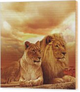 Lion Couple Without Frame Wood Print