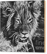 Lion Cub-black And White V2 Wood Print