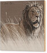 Lion In The Grass Wood Print