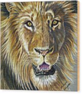 Lion King Wood Print
