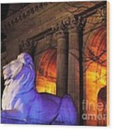Lion Nyc Public Library Wood Print