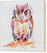 Little Owl Wood Print