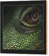 Lizard Eye Wood Print