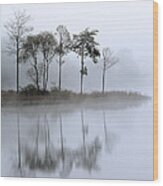 Loch Ard Trees In The Mist Wood Print