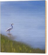 Lone Egret Painting Wood Print