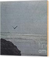 Lone Gull Wood Print