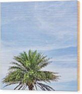 Lone Palm At The Beach Wood Print