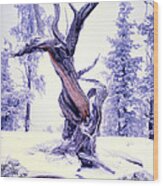 Lone Pine Wood Print