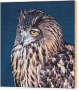 Long - Earred Owl Wood Print