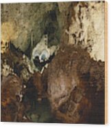 Longfellows Lake, Carlsbad Caverns Wood Print