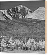 Longs Peak A Colorado Playground In Black And White Wood Print