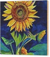 Midnight Sunflower Wood Print
