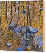 Lost In Fall's Reflections Wood Print