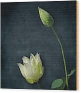 Lotus Bud And Bloom Wood Print