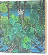 Lotus Garden Wood Print