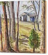 Louisiana Barn Through The Trees Wood Print