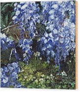 Louisiana Wisteria Wood Print