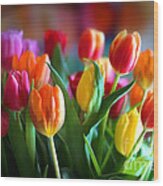 Lovely Tulips Wood Print