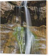 Lower Calf Creek Falls Wood Print