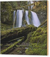 Lower Panther Creek Falls Wood Print