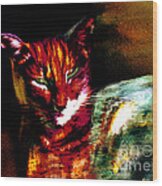 Lucifer Sam Tiger Cat Wood Print