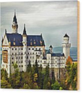 Neuschwanstein Castle In Bavaria Germany Wood Print