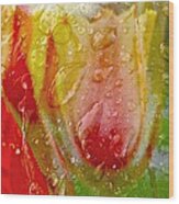 Luscious Tulips - Waterdrops Series Wood Print