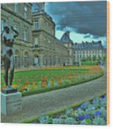 Luxembourg Gardens Wood Print