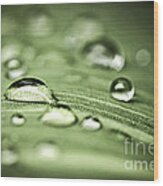Macro Raindrops On Green Leaf Wood Print