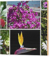 Madeiran Flower Collage Wood Print