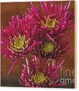 Magenta Daisies Against Old Gold Wood Print