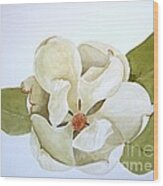 Magnolia Highlight Wood Print