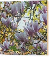 Magnolia Maidens Wood Print