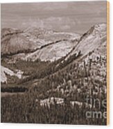 Majesty Mountains Sepia Wood Print