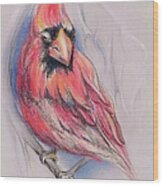 Male Cardinal In Winter Wood Print
