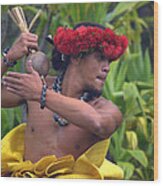 Male Hula Dancer With Small Gourd Instrument Wood Print
