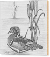 Male Wood Duck Wood Print