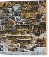 Mammoth Hot Springs - Yellowstone Wood Print