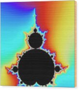 Mandelbrot Fractal Wood Print