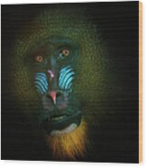 Mandrill Wood Print