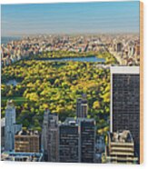 Manhattan New York City Skyline Central Wood Print