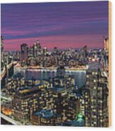Manhattan Skyline During Beautiful Sunset Wood Print