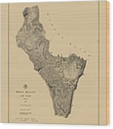 Map Of West Point 1883 Wood Print