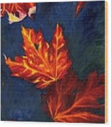 Maple Leaves In Autumn Wood Print